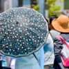 夏の日傘と帽子、どちらが効果的？併用はおかしい？【日焼け・熱中症対策】